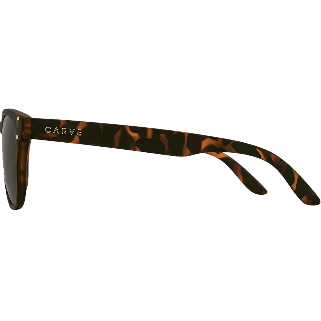 Bohemia Polarized