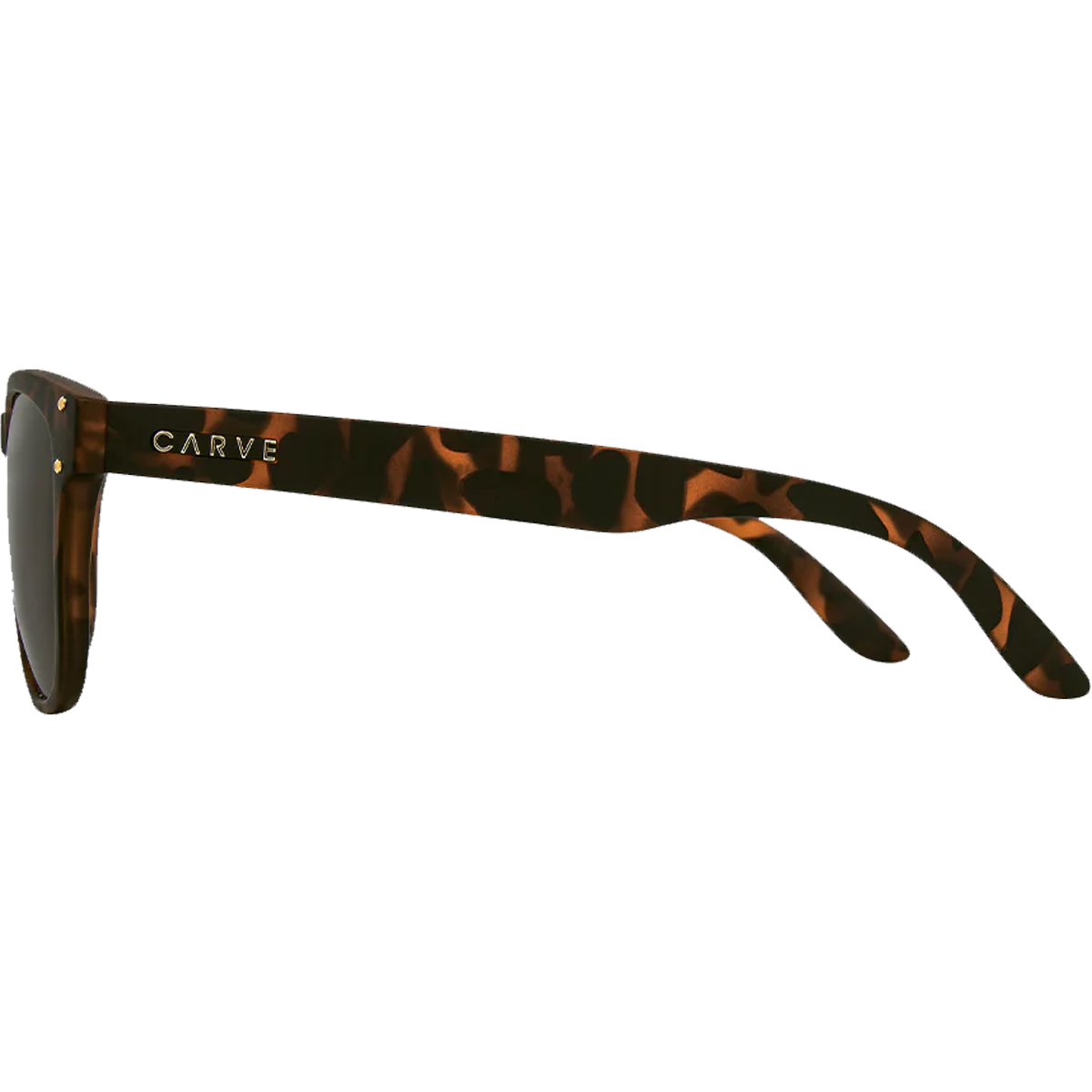 Bohemia Polarized